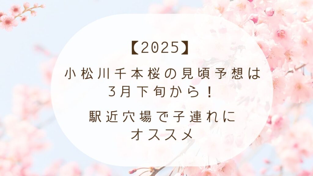 【2025】小松川千本桜の見頃予想は3月下旬から！駅近穴場で子連れにオススメ